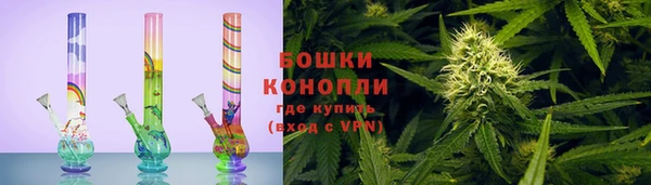 ПСИЛОЦИБИНОВЫЕ ГРИБЫ Михайловка