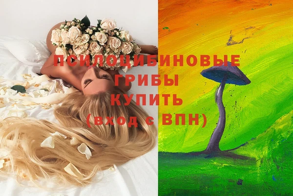 марки lsd Михайлов