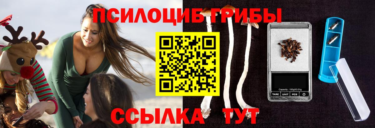 где купить   Миасс  Псилоцибиновые грибы MAGIC MUSHROOMS 